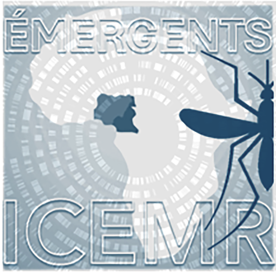 icemremergents.org